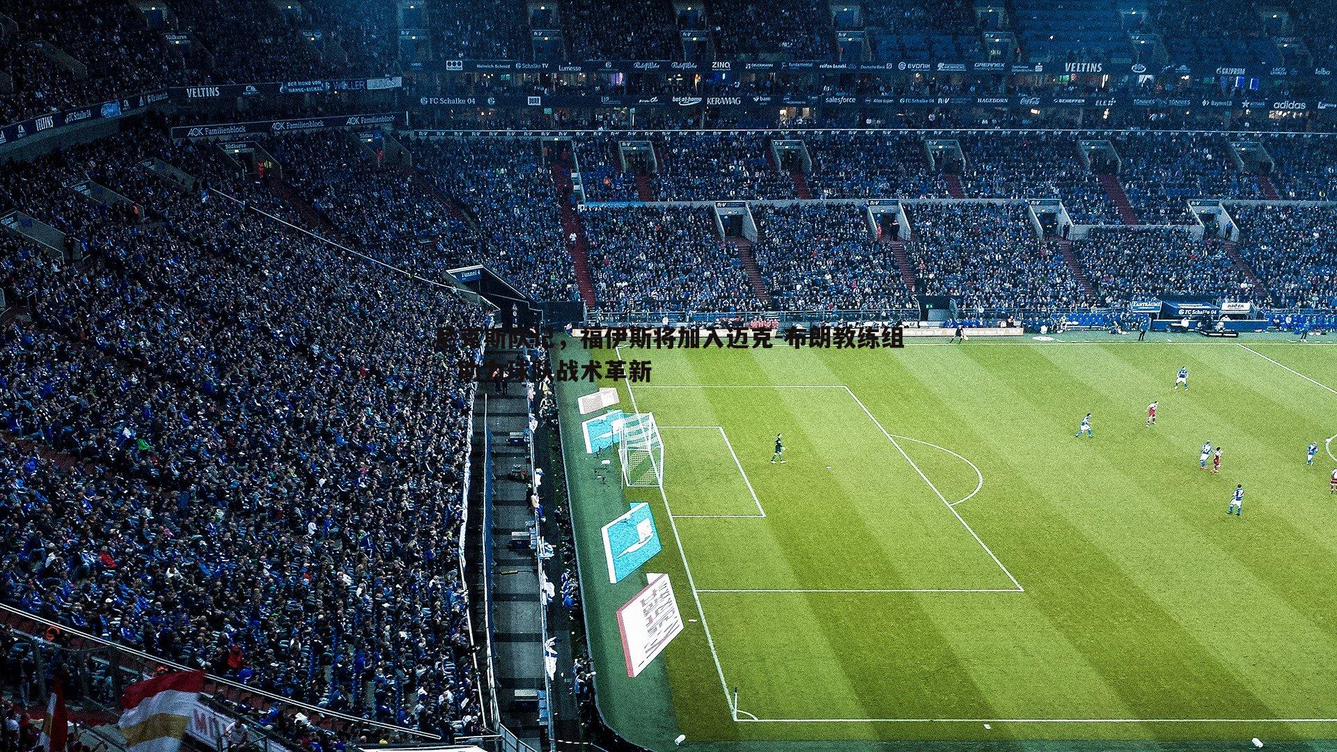 尼克斯队记,福伊斯将加入迈克-布朗教练组,助力球队战术革新